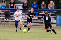 ISO 4000, 1/400 sec at f / 5.0, 200 mm