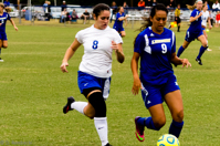 ISO 1250, 1/1250 sec at f / 4.5, 120 mm