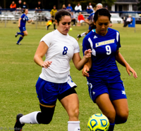 ISO 1250, 1/1250 sec at f / 4.5, 120 mm