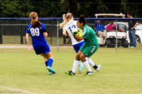 ISO 1250, 1/800 sec at f / 4.5, 120 mm