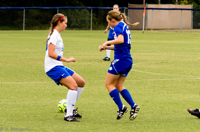 ISO 1250, 1/1000 sec at f / 4.5, 120 mm