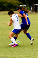 ISO 1250, 1/1000 sec at f / 4.5, 120 mm