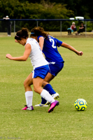 ISO 1250, 1/1000 sec at f / 4.5, 120 mm