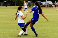 ISO 1250, 1/1000 sec at f / 4.5, 120 mm