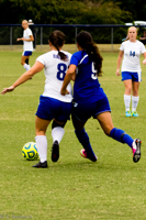 ISO 1250, 1/1000 sec at f / 4.5, 120 mm