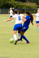 ISO 1250, 1/1000 sec at f / 4.5, 120 mm