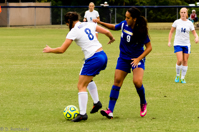 ISO 1250, 1/1000 sec at f / 4.5, 120 mm