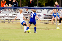 ISO 1250, 1/800 sec at f / 4.5, 120 mm