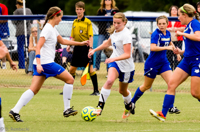 ISO 1250, 1/500 sec at f / 5.6, 320 mm