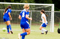 ISO 1250, 1/250 sec at f / 5.6, 250 mm