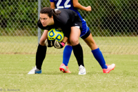 ISO 1250, 1/400 sec at f / 5.6, 400 mm