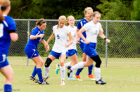 ISO 1250, 1/320 sec at f / 5.6, 270 mm