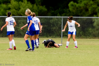 ISO 1250, 1/500 sec at f / 5.0, 158 mm