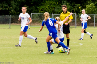 ISO 1250, 1/500 sec at f / 4.5, 120 mm