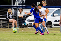 ISO 1250, 1/250 sec at f / 5.6, 350 mm