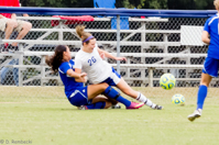 ISO 2000, 1/250 sec at f / 5.6, 230 mm