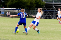 ISO 2000, 1/500 sec at f / 4.5, 120 mm