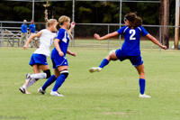 ISO 2000, 1/500 sec at f / 4.5, 120 mm