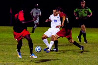 ISO 4000, 1/1600 sec at f / 6.3, 290 mm