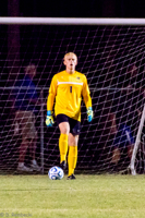 ISO 4000, 1/250 sec at f / 6.3, 410 mm