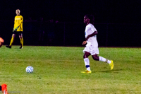 ISO 8000, 1/1250 sec at f / 5.6, 200 mm