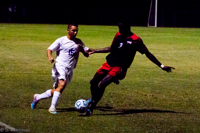 ISO 8000, 1/1250 sec at f / 5.6, 113 mm