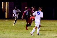 ISO 8000, 1/500 sec at f / 5.6, 200 mm