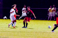 ISO 8000, 1/800 sec at f / 5.6, 200 mm