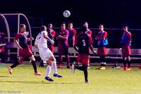 ISO 8000, 1/500 sec at f / 5.6, 200 mm