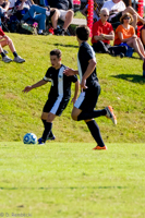 ISO 640, 1/1600 sec at f / 5.6, 200 mm