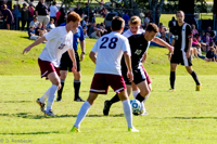 ISO 640, 1/2500 sec at f / 5.6, 140 mm