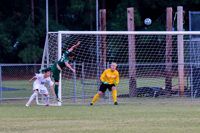 ISO 1600, 1/800 sec at f / 5.6, 230 mm