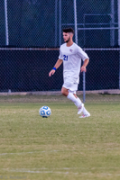 ISO 1600, 1/500 sec at f / 5.6, 270 mm