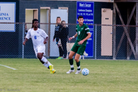 ISO 1600, 1/500 sec at f / 5.6, 250 mm