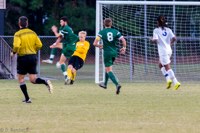 ISO 2000, 1/125 sec at f / 5.6, 270 mm