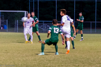 ISO 4000, 1/250 sec at f / 4.5, 120 mm