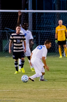 ISO 8000, 1/500 sec at f / 6.3, 290 mm