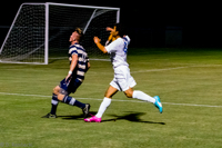 ISO 10000, 1/320 sec at f / 4.5, 75 mm