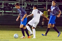 ISO 10000, 1/500 sec at f / 6.3, 330 mm