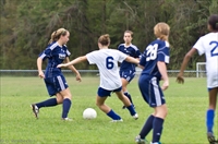 ISO 1000,  135 mm,  1/1250 sec at f / 3.5