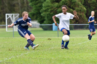 ISO 1000,  145 mm,  1/1250 sec at f / 3.2