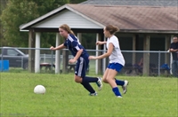 ISO 1000,  200 mm,  1/1250 sec at f / 4.0