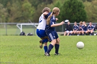 ISO 1000,  200 mm,  1/1250 sec at f / 4.0