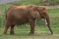 ISO 640, 1/400 sec at f / 9.0, 180 mm