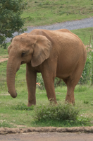 ISO 640, 1/400 sec at f / 9.0, 180 mm