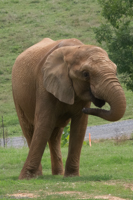 ISO 640, 1/400 sec at f / 9.0, 170 mm