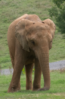 ISO 640, 1/400 sec at f / 9.0, 170 mm