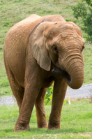 ISO 640, 1/200 sec at f / 9.0, 210 mm