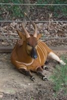 ISO 640, 1/20 sec at f / 9.0, 120 mm