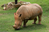 ISO 640, 1/320 sec at f / 9.0, 130 mm